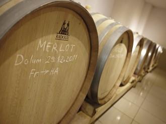 Wine house visit from ports