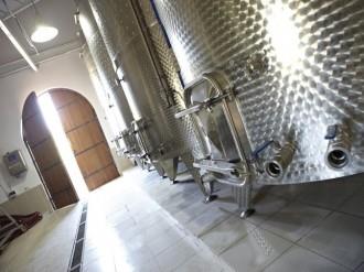 Wine house visit from ports