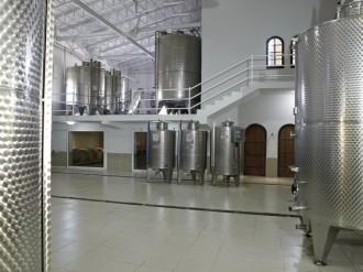 Wine house visit from ports