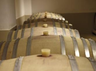Wine house visit from ports