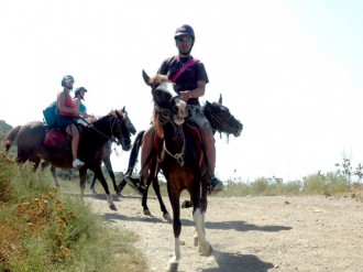 Horse Safari from Ports