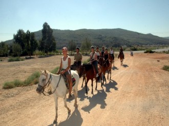 Horse Safari from Ports