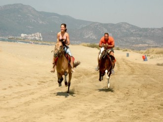 Horse Safari from Ports